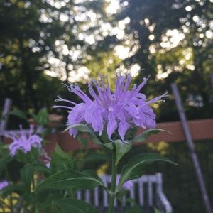 Meet your Posher, Kkerry